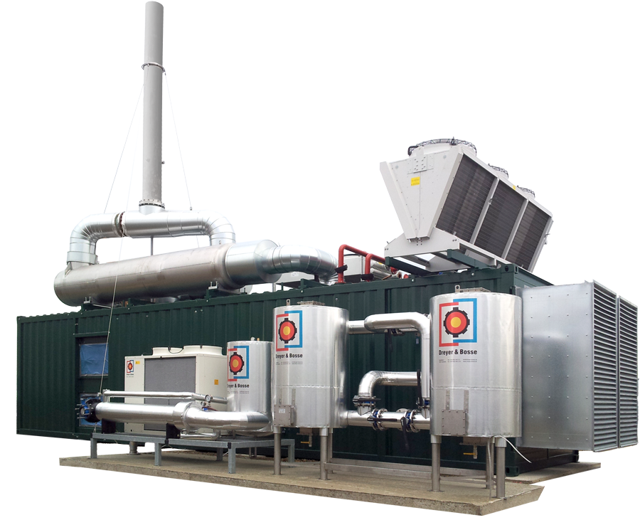 wolf-dub-1MW-Vita-Grandis-b-web